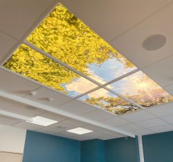 Faux plafond avec panneaux lumineux MiraSky ciel et cimes d’arbres