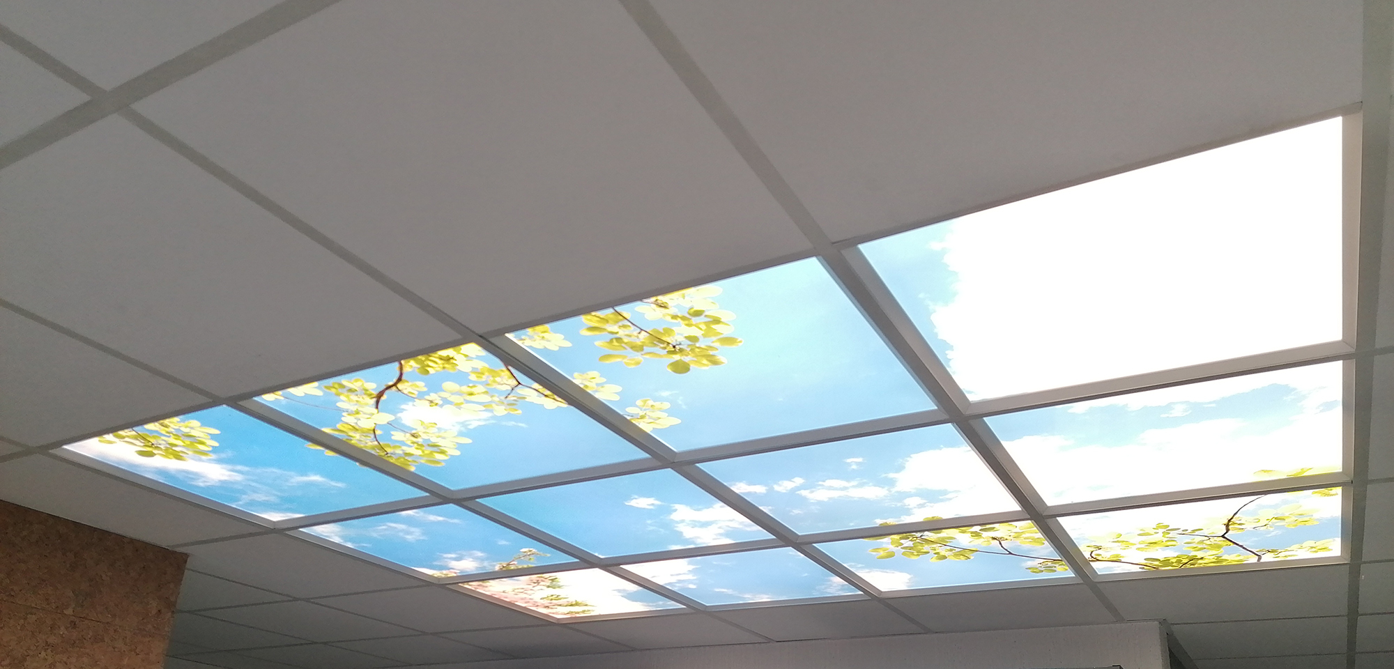 Fenêtres et Plafonds Lumineux LED - Nature & Confort : Nature & Confort