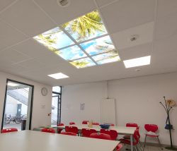 Salle avec des panneaux lumineux MiraSky à thème tropical au plafond et des chaises rouges autour de tables blanches. Fenêtres et plafonds lumineux.