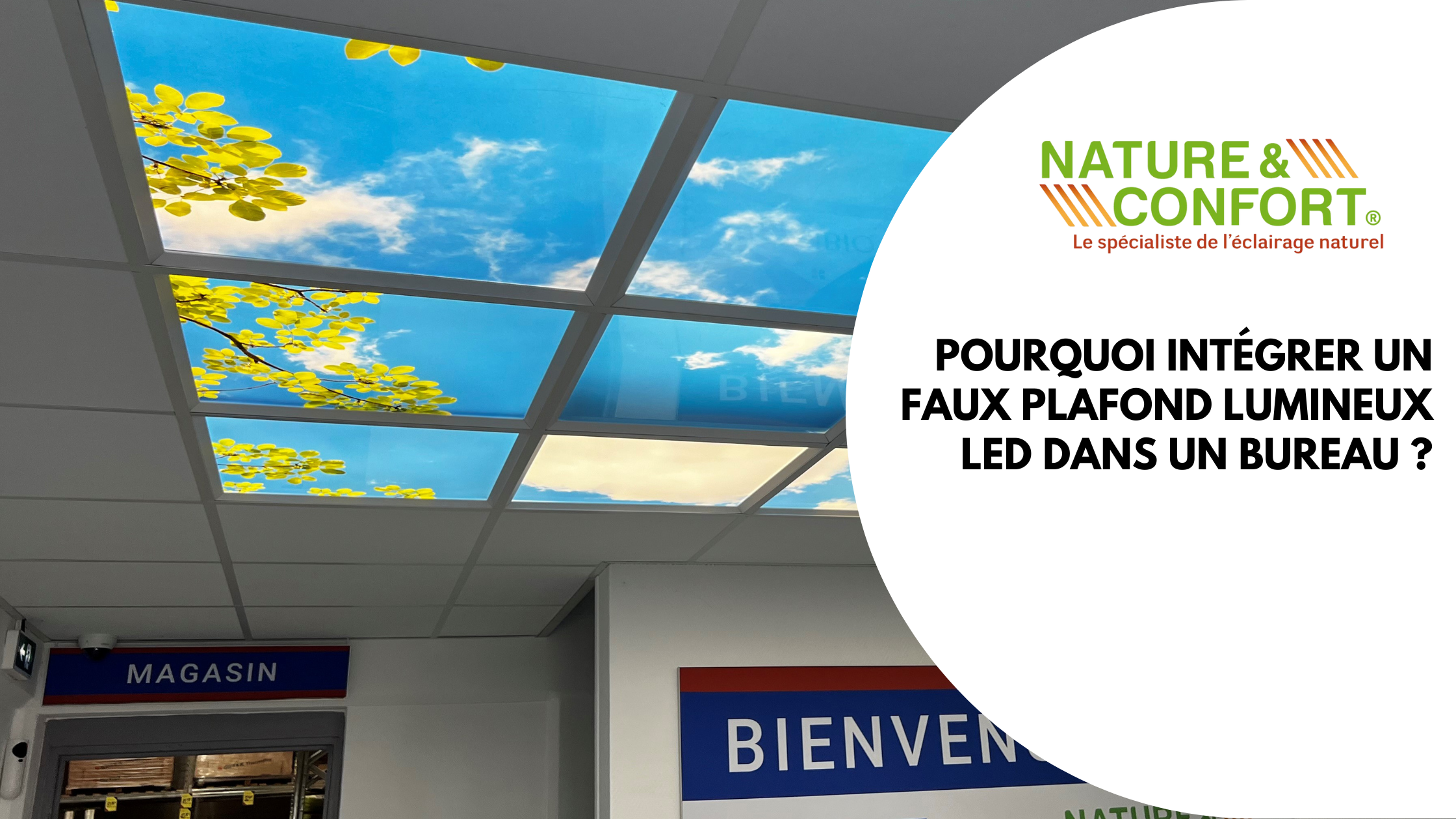 Plafond lumineux LED MiraSky installé à l’entrée du showroom Nature et Confort, avec visuel de ciel bleu et feuillage jaune imprimé sur dalles LED pour un effet apaisant et immersif.
